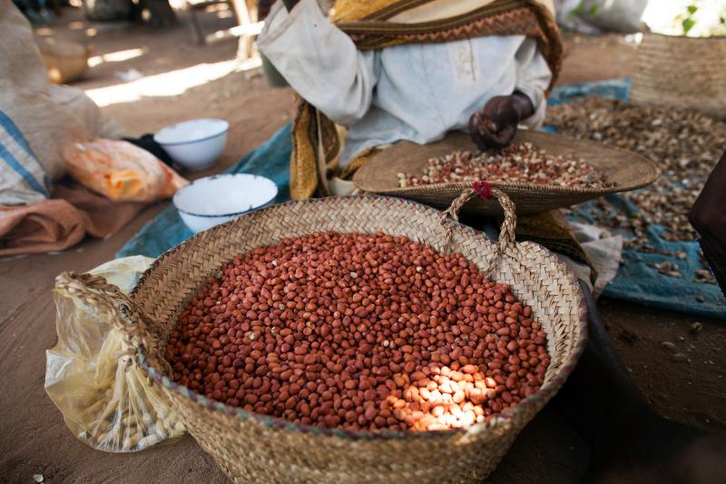 Groundnuts are one of Darfur’s major cash crops. Trade in groundnuts is now part of the war economy_Albert González Farran _ UNAMID_web