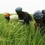 Burkina Faso: the atom at the service of food sovereignty, the paradigm of scientific pragmatism